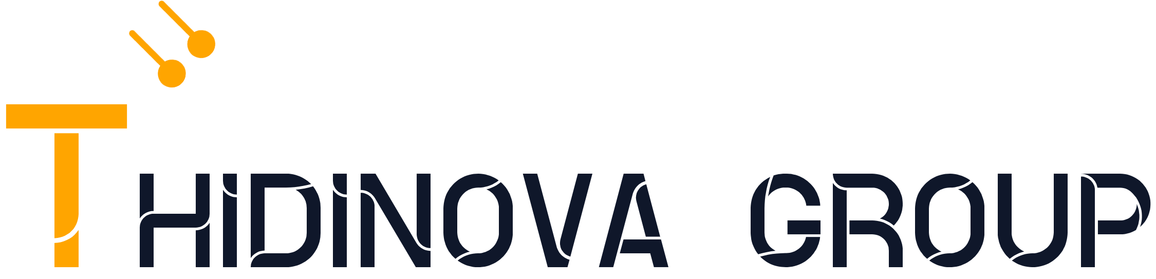 THIDINOVA GROUP
